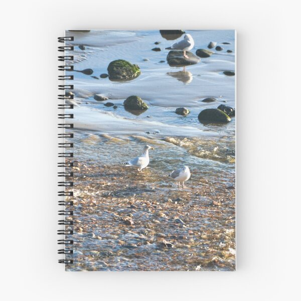 Item preview, Gulls at the Seafront... Lyme Dorset UK designed and sold by lynn carter.