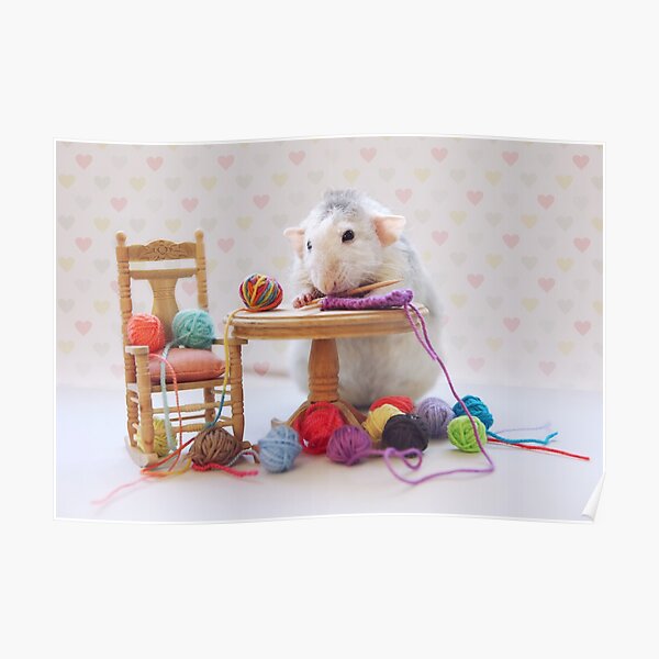 Rosie still knitting..... Poster