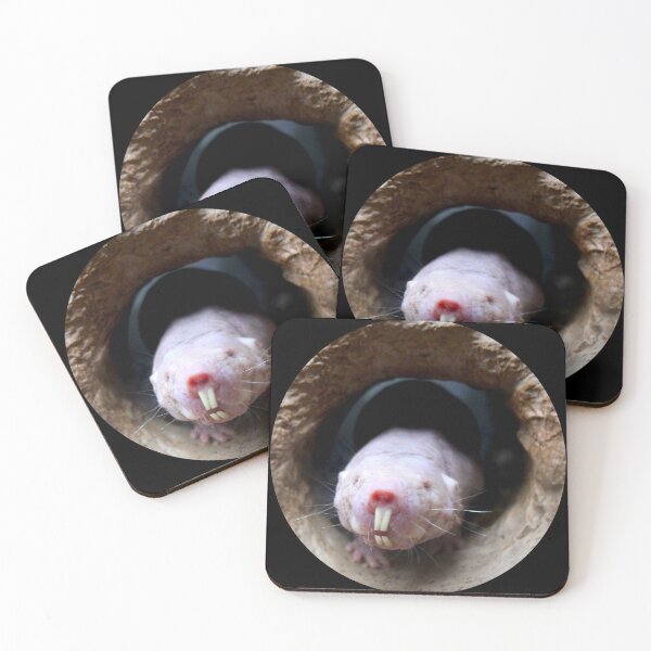 Item preview, Naked Mole Rat designed and sold by Victoria  Cook.