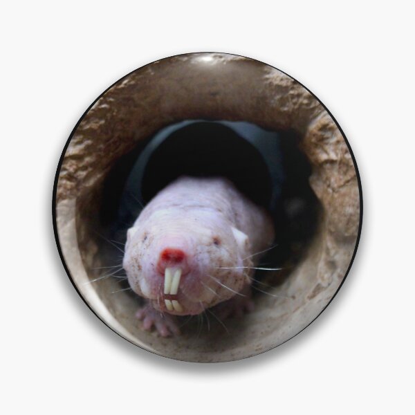 Item preview, Naked Mole Rat designed and sold by Victoria  Cook.