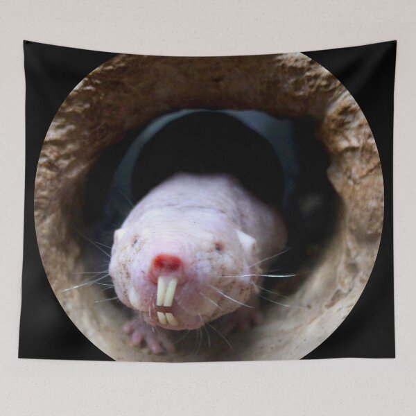 Item preview, Naked Mole Rat designed and sold by Victoria  Cook.