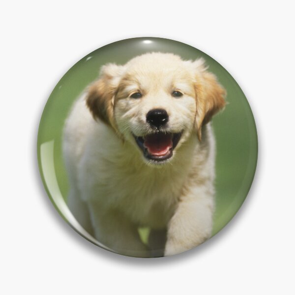 Aperçu de l'œuvre Heureux chiot Golden Retriever courant sur l'herbe créée et vendue par ScienceSource.