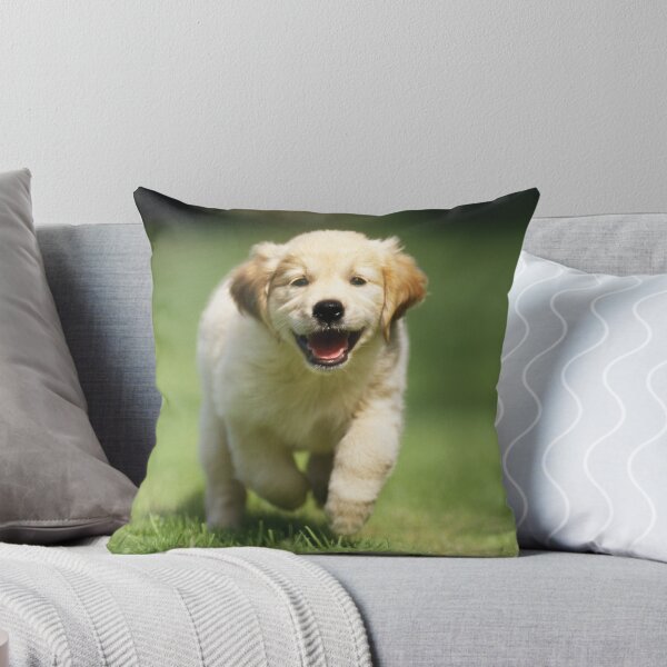 Item preview, Happy Golden Retriever Puppy Running on the Grass designed and sold by ScienceSource.