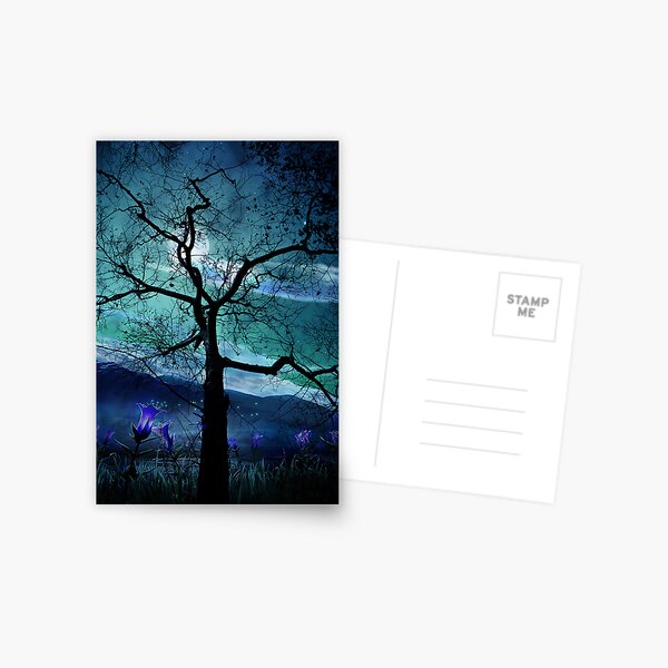 Night Dreams Postcard