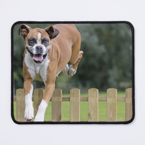 Item preview, Boxer Dog Leaping Over a Wooden Fence designed and sold by ScienceSource.