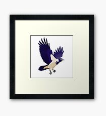 Raven on white background Framed Print