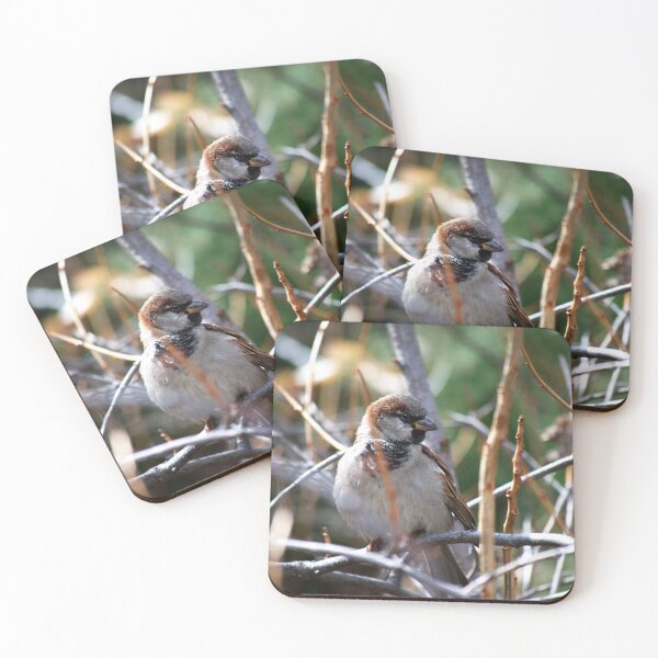 Item preview, Brown Bird in Nature designed and sold by EarthUnlocked.