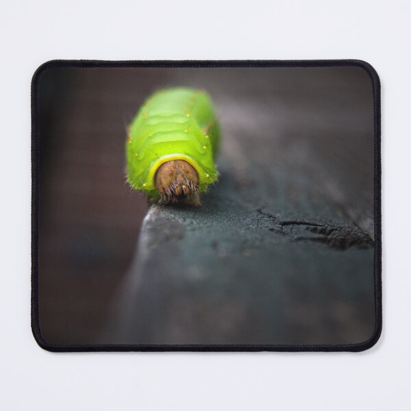 Item preview, Green Caterpillar  designed and sold by EarthUnlocked.