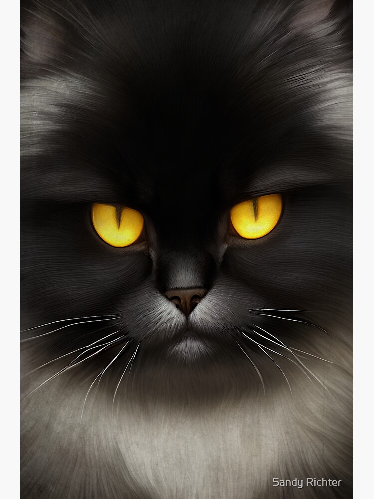 Portrait of Angry Fluffy Black Persian Cat Face - Black Cat - Sticker