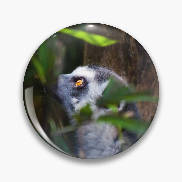 Item preview, Lemur Daydreamer designed and sold by EarthUnlocked.