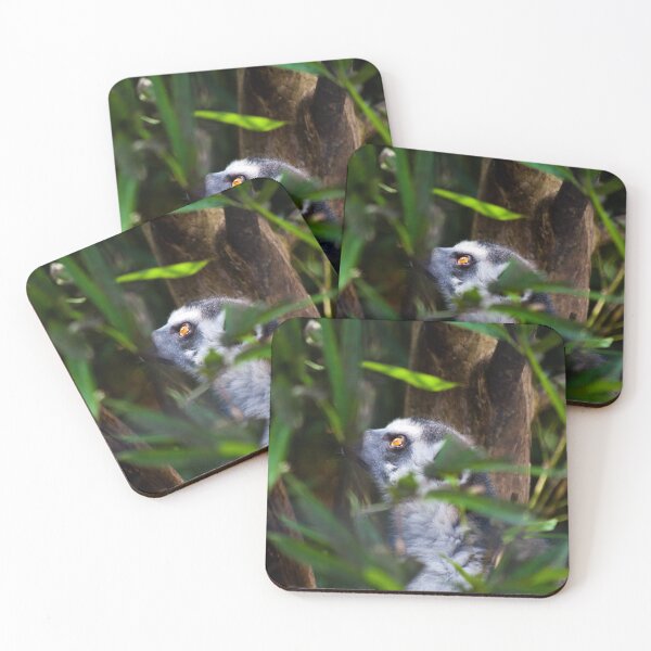 Item preview, Lemur Daydreamer designed and sold by EarthUnlocked.