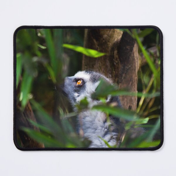 Item preview, Lemur Daydreamer designed and sold by EarthUnlocked.
