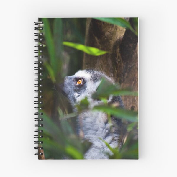 Item preview, Lemur Daydreamer designed and sold by EarthUnlocked.