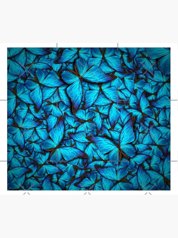 Disover Blue Butterfly Quilt