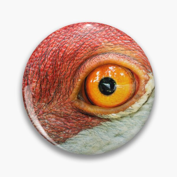 Item preview, Sand Eye Coordination designed and sold by Stephen Carmickle.