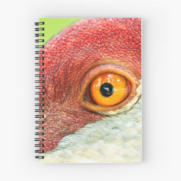 Item preview, Sand Eye Coordination designed and sold by Stephen Carmickle.