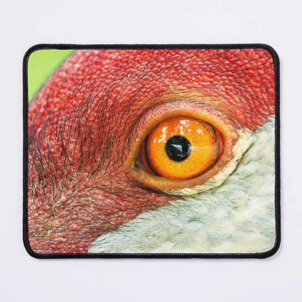 Item preview, Sand Eye Coordination designed and sold by Stephen Carmickle.