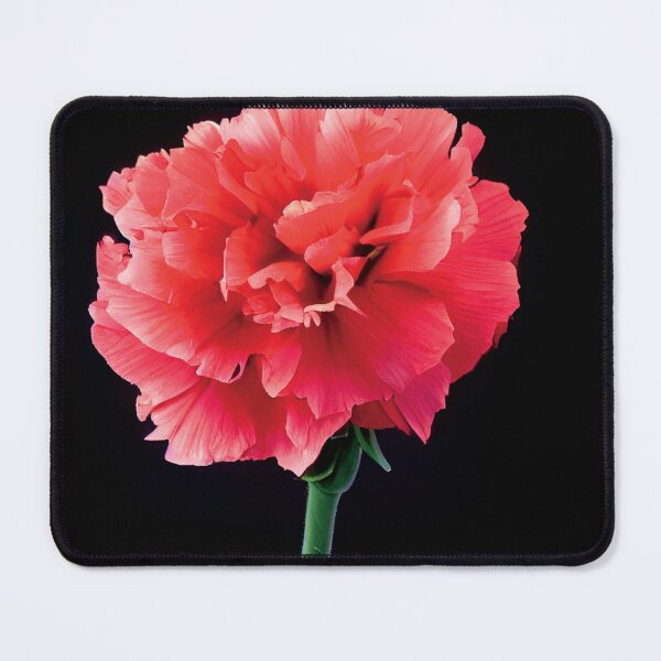 Item preview, a red flower with a black background designed and sold by DesignAtYO.