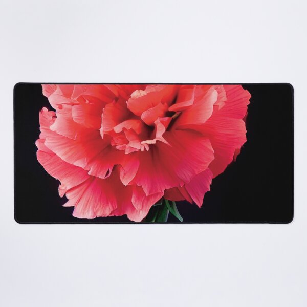 Item preview, a red flower with a black background designed and sold by DesignAtYO.