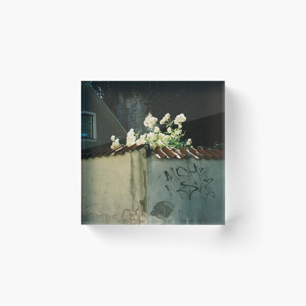 Item preview, flowers + concrete designed and sold by Rebecka Harper.