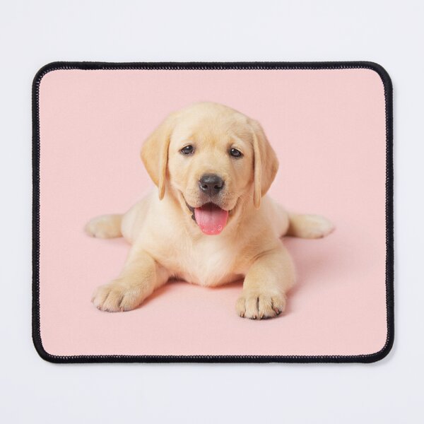 Item preview, Happy Pink Yellow Labrador Puppy designed and sold by photorealpets.