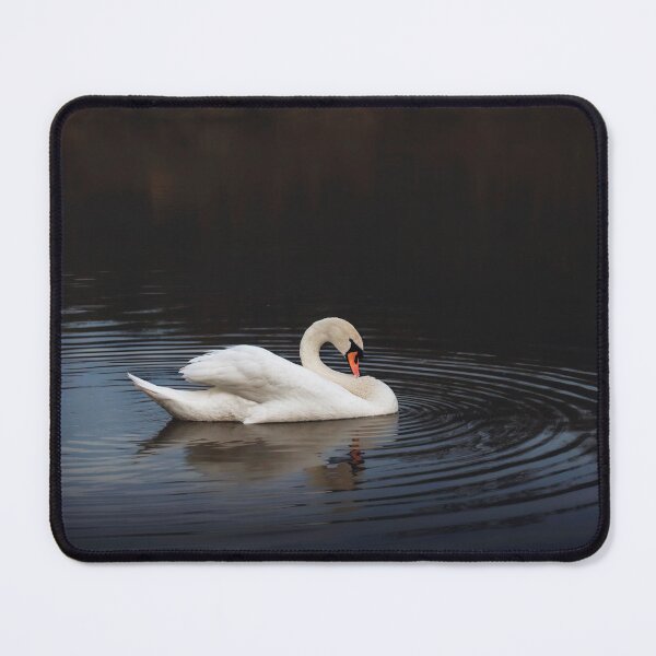 Item preview, White swan in the lake at dusk designed and sold by Dejan Travica.