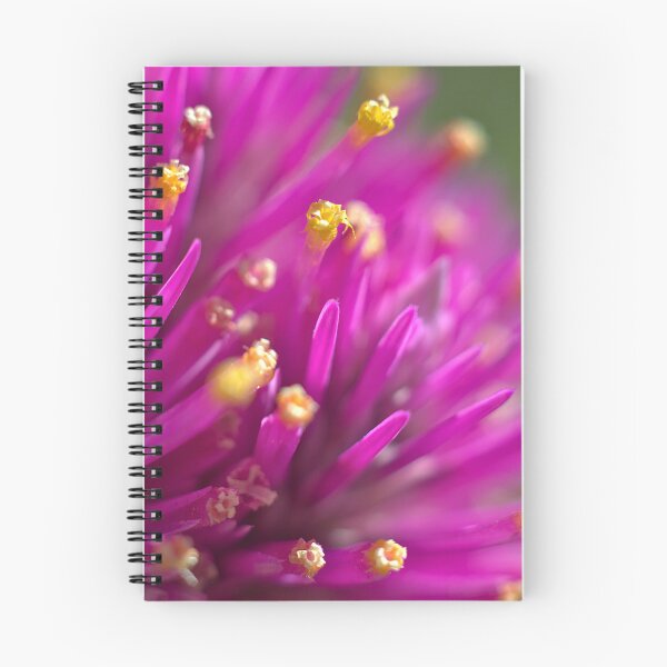 Item preview, Pink spikey globe amaranth flower designed and sold by Kasadams.