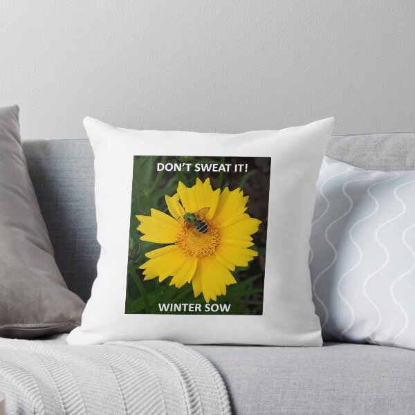 Item preview, Don't Sweat It Sweat bee - Winter Sowing designed and sold by Petaler.