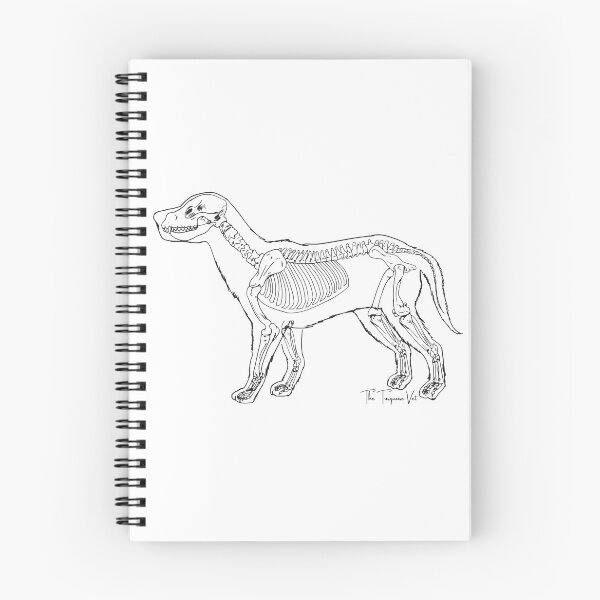 Aperçu de l'œuvre Anatomie canine créée et vendue par TheTurquoiseVet.