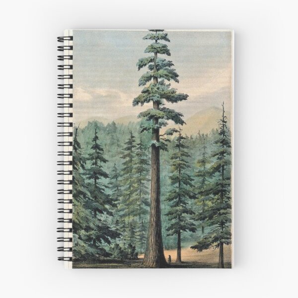 Item preview, Mammoth Tree In Forest designed and sold by DominicMiele.