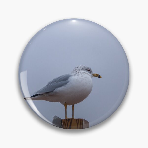 Item preview, Seagull Roosting designed and sold by 5x5 Adventures .