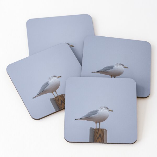 Item preview, Seagull Roosting designed and sold by 5x5 Adventures .