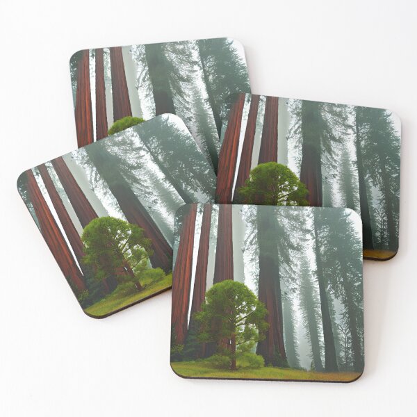 Item preview, Coastal Sequoia Wood Print designed and sold by Kroop.