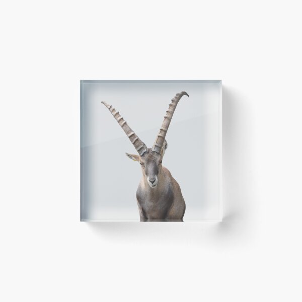 Item preview, Alpine Ibex Goat designed and sold by RainbowSpinkle.