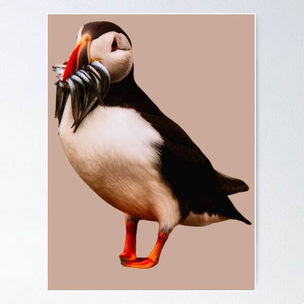 Item preview, Atlantic Puffin designed and sold by RainbowSpinkle.