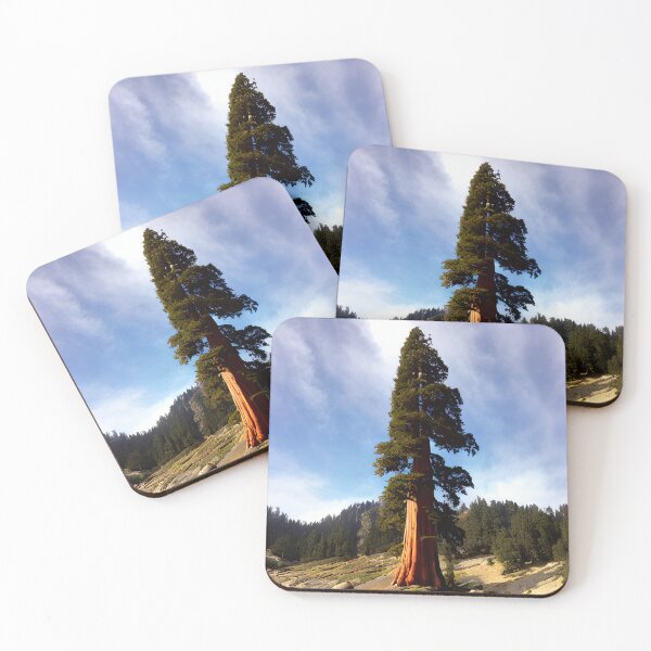 Item preview, Majestic Coastal Sequoia Tree Art designed and sold by Kroop.