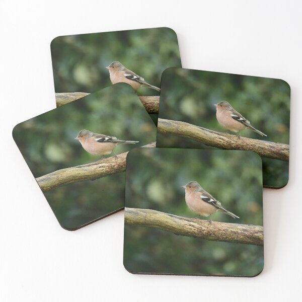 Item preview, Chaffinch  designed and sold by ollygriffin.