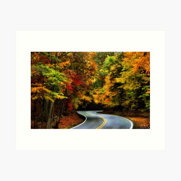Stop the Car! Art Print