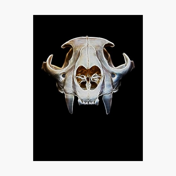 Item preview, Abstract Cougar Skull designed and sold by fredseghetti.