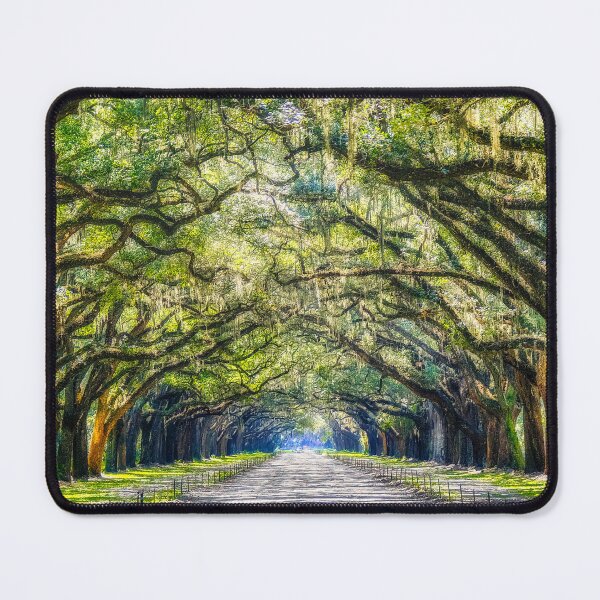 Item preview, Mystic Wormsloe designed and sold by dbvirago.