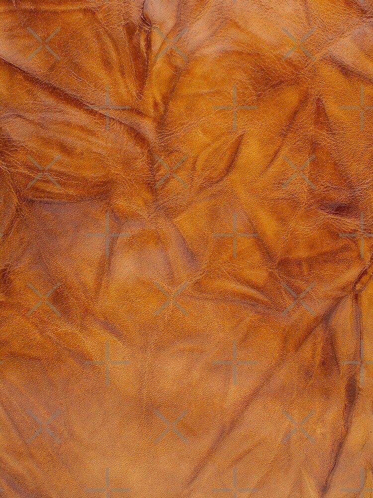 Old leather by homydesign
