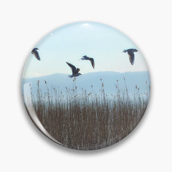 Item preview, Gulls designed and sold by distracted.
