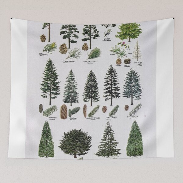 Item preview, Tree Species For Identification designed and sold by DominicMiele.