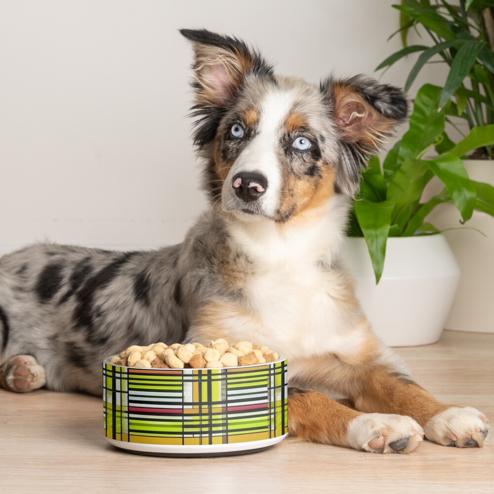 Item preview, Pet Bowl designed and sold by stillnessgifts.