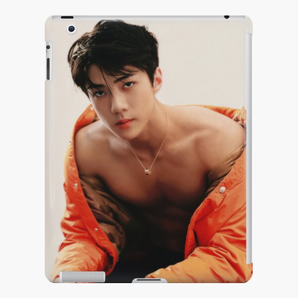 Sehun Exo iPad Snap Case