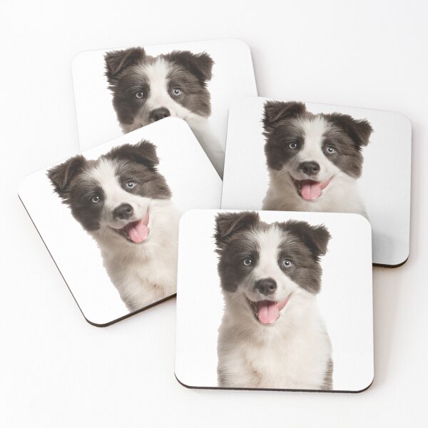 Item preview, border collie puppy designed and sold by tienda de regalos y mucho mas.