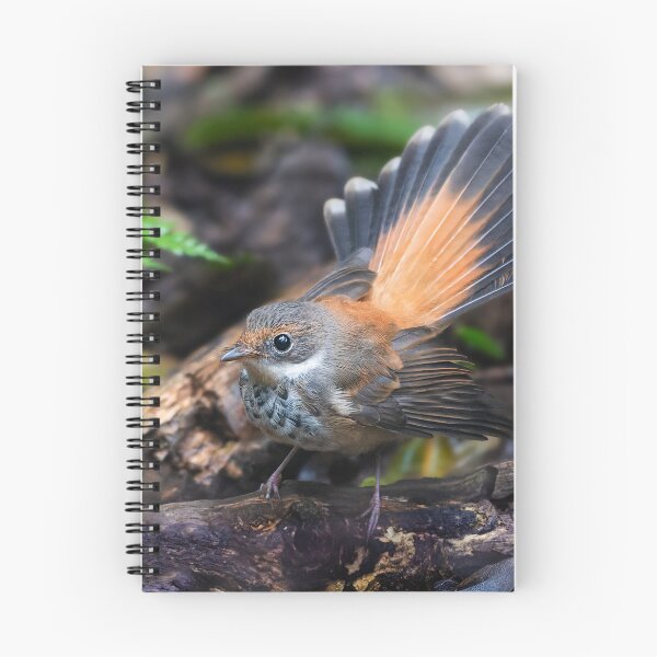 Item preview, Rufous Fantail designed and sold by RAFImages.