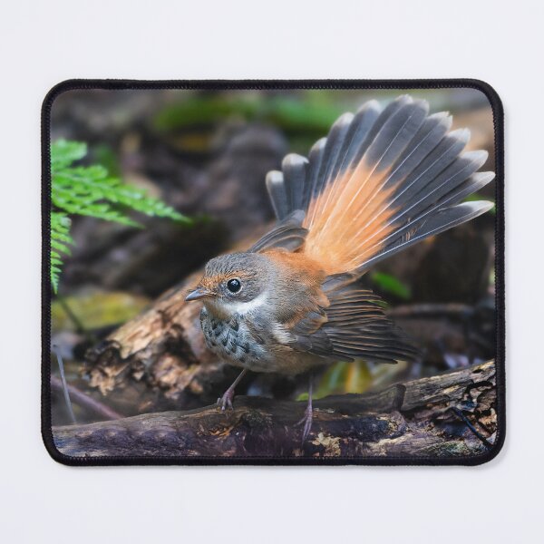 Item preview, Rufous Fantail designed and sold by RAFImages.