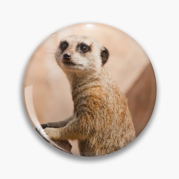 Item preview, Meerkat Pose designed and sold by EarthUnlocked.