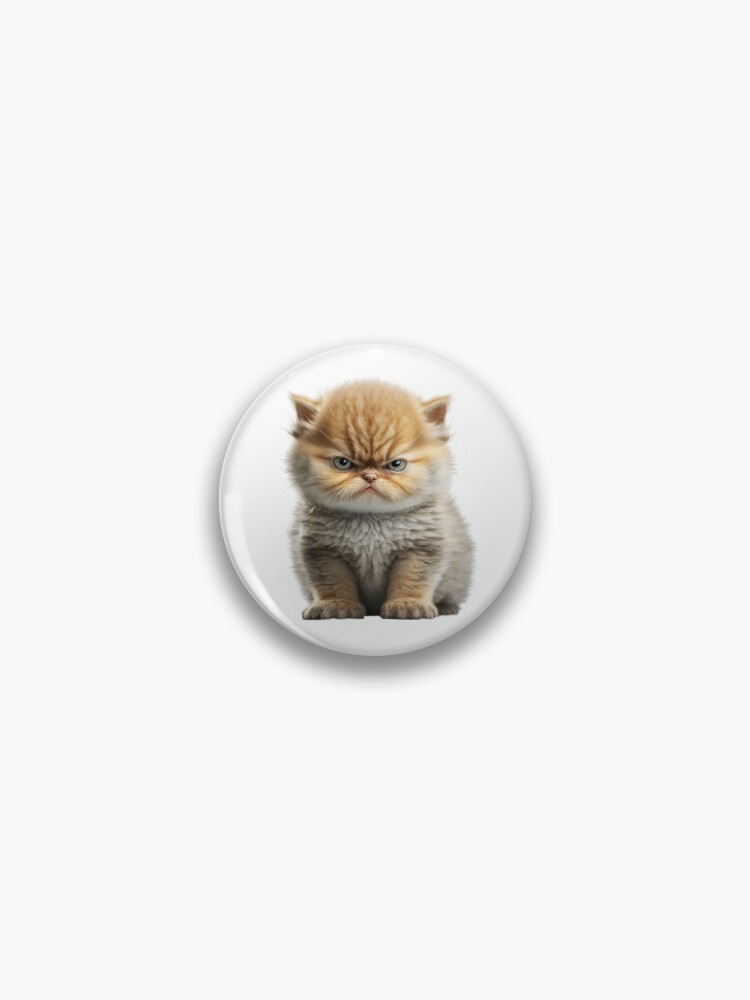 Pin on Angry Cats